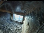 Archiv Foto Webcam Aachener Dom: Blick auf die Falken im Westturm 05:00