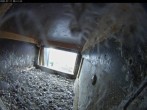 Archiv Foto Webcam Aachener Dom: Blick auf die Falken im Westturm 07:00