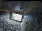 Archiv Foto Webcam Aachener Dom: Blick auf die Falken im Westturm 09:00