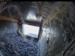 Archiv Foto Webcam Aachener Dom: Blick auf die Falken im Westturm 15:00