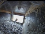 Archiv Foto Webcam Aachener Dom: Blick auf die Falken im Westturm 11:00