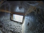 Archiv Foto Webcam Aachener Dom: Blick auf die Falken im Westturm 07:00