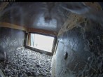 Archiv Foto Webcam Aachener Dom: Blick auf die Falken im Westturm 09:00