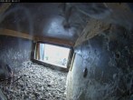 Archiv Foto Webcam Aachener Dom: Blick auf die Falken im Westturm 05:00