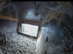 Archiv Foto Webcam Aachener Dom: Blick auf die Falken im Westturm 06:00