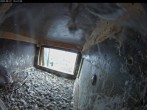 Archiv Foto Webcam Aachener Dom: Blick auf die Falken im Westturm 09:00