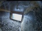 Archiv Foto Webcam Aachener Dom: Blick auf die Falken im Westturm 05:00
