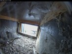 Archiv Foto Webcam Aachener Dom: Blick auf die Falken im Westturm 06:00
