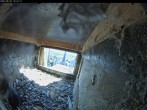 Archiv Foto Webcam Aachener Dom: Blick auf die Falken im Westturm 09:00
