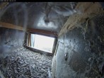 Archiv Foto Webcam Aachener Dom: Blick auf die Falken im Westturm 15:00