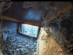 Archiv Foto Webcam Aachener Dom: Blick auf die Falken im Westturm 05:00