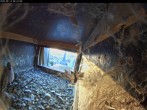 Archiv Foto Webcam Aachener Dom: Blick auf die Falken im Westturm 05:00