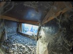 Archiv Foto Webcam Aachener Dom: Blick auf die Falken im Westturm 06:00