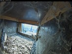Archiv Foto Webcam Aachener Dom: Blick auf die Falken im Westturm 07:00