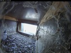 Archiv Foto Webcam Aachener Dom: Blick auf die Falken im Westturm 13:00
