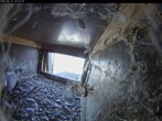 Archiv Foto Webcam Aachener Dom: Blick auf die Falken im Westturm 15:00