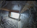 Archiv Foto Webcam Aachener Dom: Blick auf die Falken im Westturm 07:00