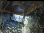 Archiv Foto Webcam Aachener Dom: Blick auf die Falken im Westturm 06:00