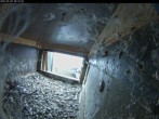 Archiv Foto Webcam Aachener Dom: Blick auf die Falken im Westturm 05:00