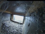 Archiv Foto Webcam Aachener Dom: Blick auf die Falken im Westturm 06:00