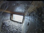 Archiv Foto Webcam Aachener Dom: Blick auf die Falken im Westturm 08:00