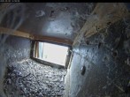 Archiv Foto Webcam Aachener Dom: Blick auf die Falken im Westturm 11:00