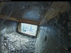 Archiv Foto Webcam Aachener Dom: Blick auf die Falken im Westturm 06:00