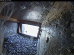 Archiv Foto Webcam Aachener Dom: Blick auf die Falken im Westturm 10:00