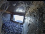 Archiv Foto Webcam Aachener Dom: Blick auf die Falken im Westturm 13:00