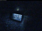 Archiv Foto Webcam Aachener Dom: Blick auf die Falken im Westturm 05:00