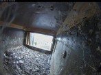 Archiv Foto Webcam Aachener Dom: Blick auf die Falken im Westturm 09:00