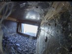 Archiv Foto Webcam Aachener Dom: Blick auf die Falken im Westturm 15:00