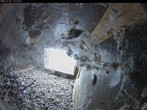 Archiv Foto Webcam Aachener Dom: Blick auf die Falken im Westturm 11:00