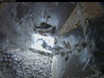 Archiv Foto Webcam Aachener Dom: Blick auf die Falken im Westturm 09:00