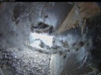 Archiv Foto Webcam Aachener Dom: Blick auf die Falken im Westturm 09:00