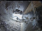 Archiv Foto Webcam Aachener Dom: Blick auf die Falken im Westturm 11:00