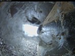 Archived image Webcam Aachen Cathedral: View Hawks 07:00