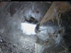 Archived image Webcam Aachen Cathedral: View Hawks 13:00