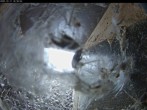 Archived image Webcam Aachen Cathedral: View Hawks 15:00