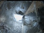 Archived image Webcam Aachen Cathedral: View Hawks 07:00