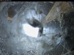 Archived image Webcam Aachen Cathedral: View Hawks 07:00
