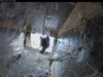 Archiv Foto Webcam Aachener Dom: Blick auf die Falken im Westturm 11:00