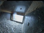 Archived image Webcam Falcons nest at Aachen Cathedral 00:00