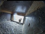 Archived image Webcam Falcons nest at Aachen Cathedral 02:00