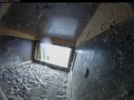Archived image Webcam Falcons nest at Aachen Cathedral 04:00