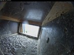 Archived image Webcam Falcons nest at Aachen Cathedral 06:00