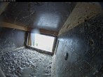 Archived image Webcam Falcons nest at Aachen Cathedral 08:00
