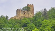 Archiv Foto Webcam Waldkirch: Ruine Kastelburg 09:00