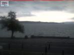 Archived image Webcam Untersee (Lake Constance) 07:00