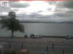 Archived image Webcam Untersee (Lake Constance) 11:00